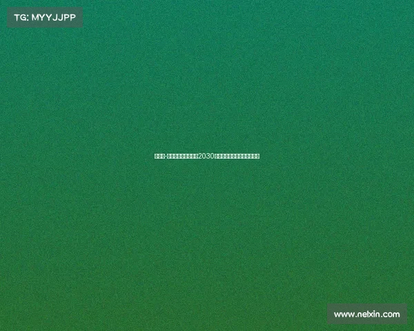 马克斯-阿莱恩与曼城续约至2030年并外租沃特福德开启新征程